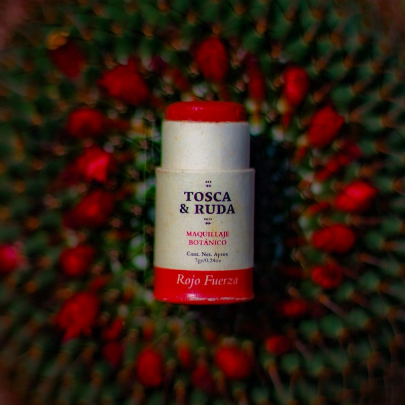 Maquillaje en barra, sobre planta rodeado de flores rosadas