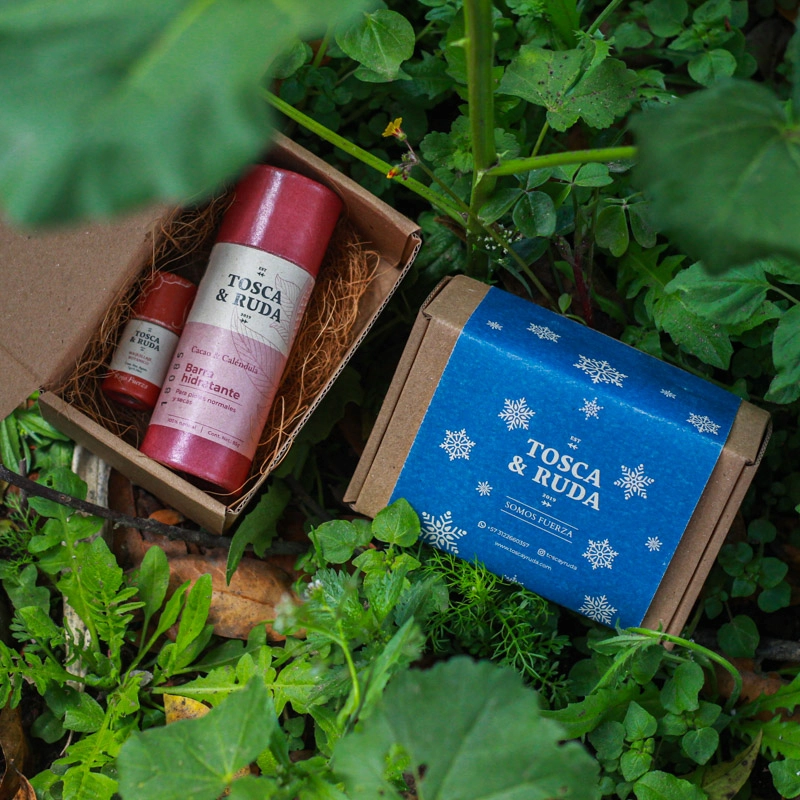 kit de navidad ocn crema y labial sobre caja de carton en plantas